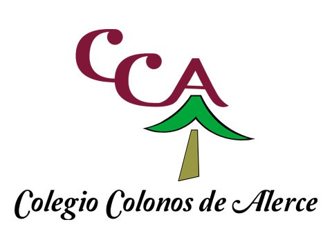 Colegio Colonos - WDesign - Diseño Web Puerto Montt