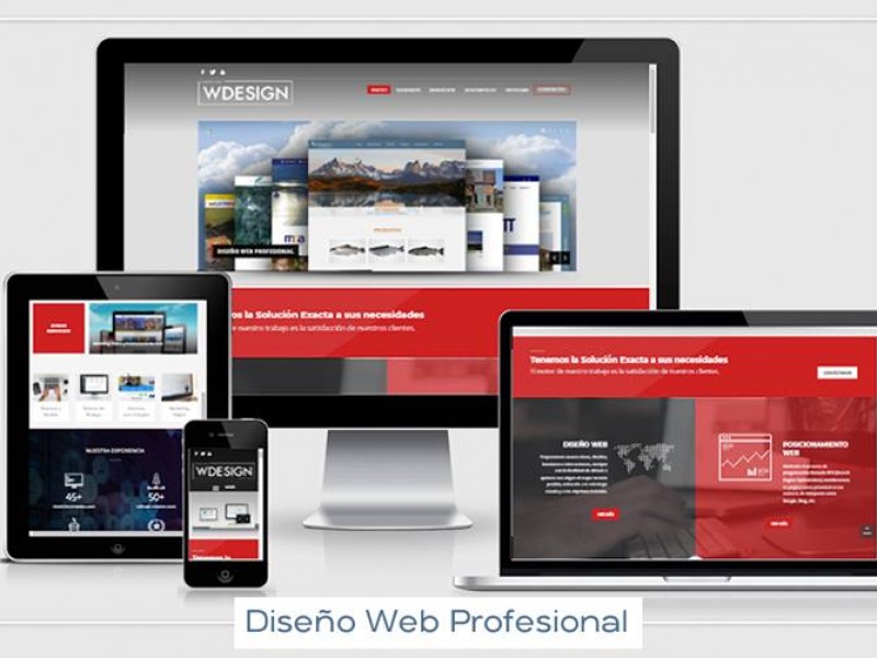 Creación Sitios Web Profesional Puerto Varas - WDesign - Diseño Web Profesional