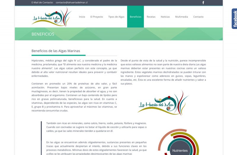 Diseño Web Puerto Montt