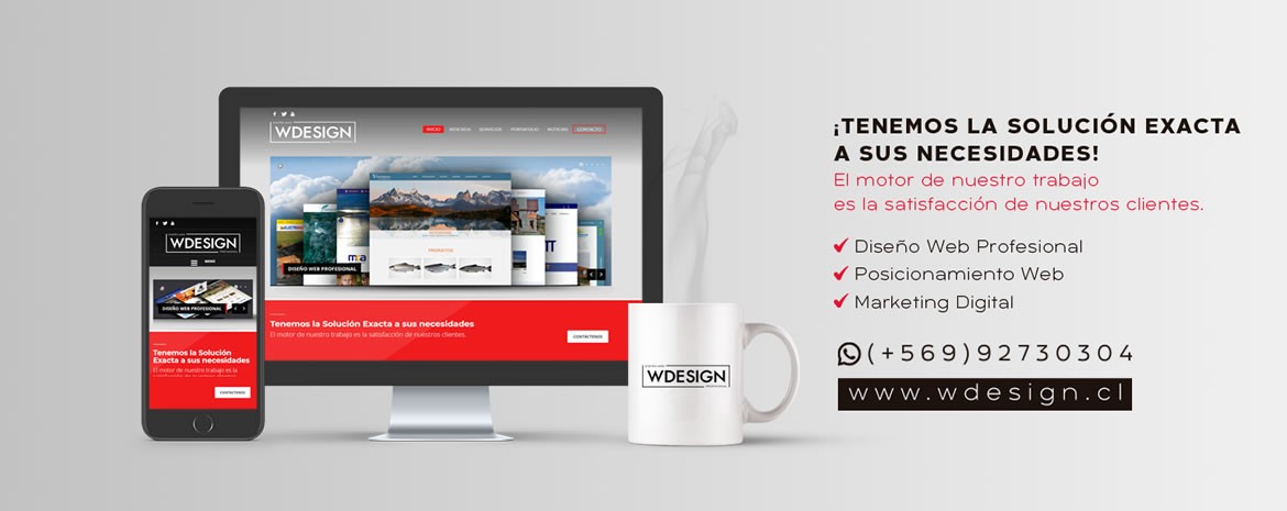 Agencia Profesional: Diseño Web Profesional